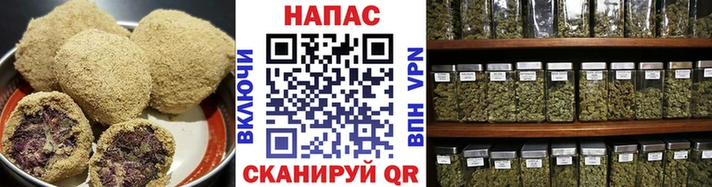 Cannafood конопля  ссылка на мегу маркетплейс  Павловский Посад 