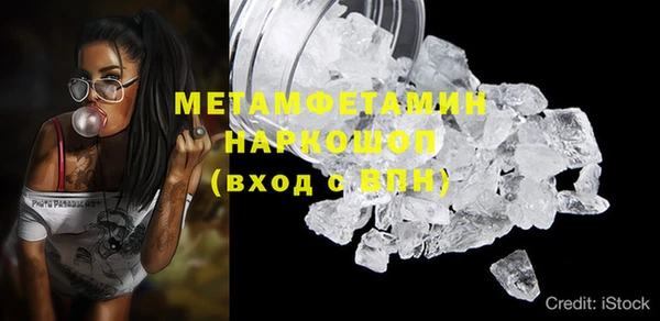 прущие грибы Нея