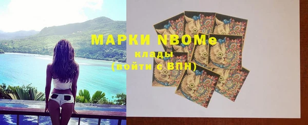 прущие грибы Нея