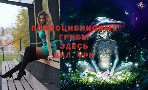 прущие грибы Нея