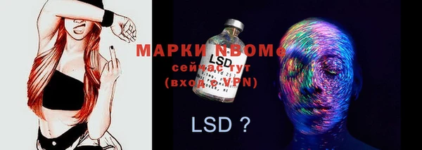 прущие грибы Нея