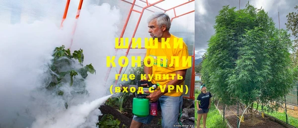 молекула духа Нефтегорск