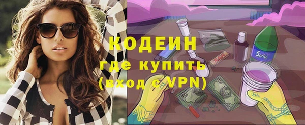 прущие грибы Нея
