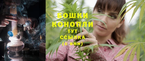молекула духа Нефтегорск