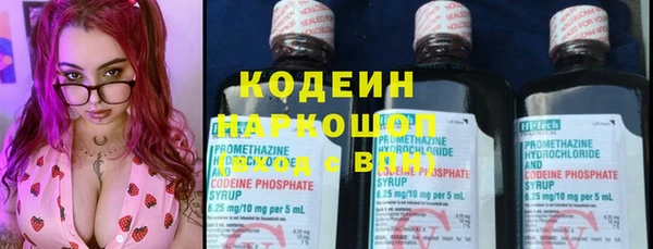прущие грибы Нея