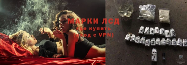 прущие грибы Нея