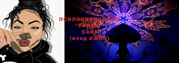 прущие грибы Нея
