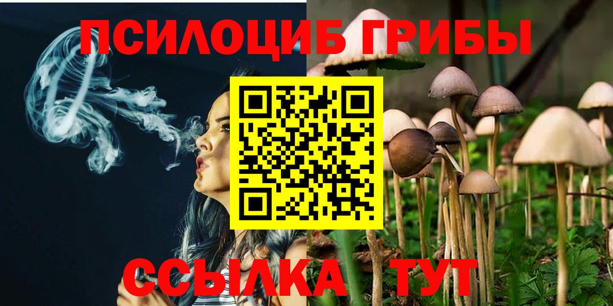 Псилоцибиновые грибы Cubensis Павловский Посад